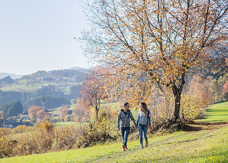 Unsere Angebote Unsere Angebote